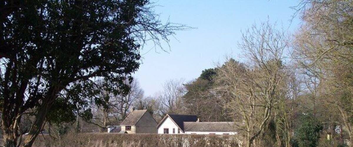 A rural road leading to a farmhouse surrounded by fields and trees.