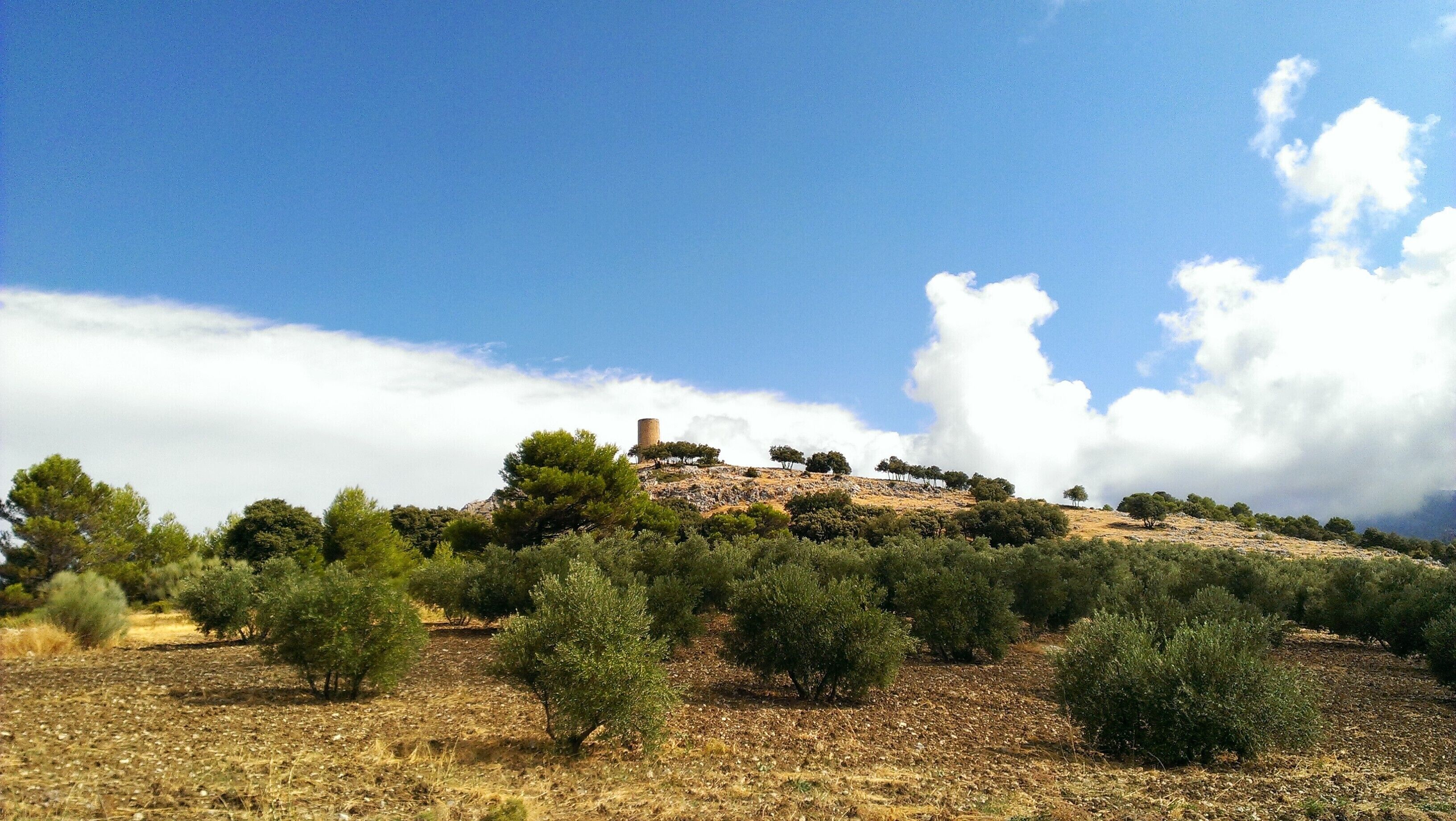 Atalaya del Infante Don Enrique, en Quesada (Jaén), dese el Puerto de Tíscar