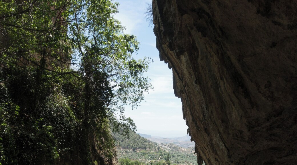 This is a photography of a Site of Community Importance in Spain with the ID: