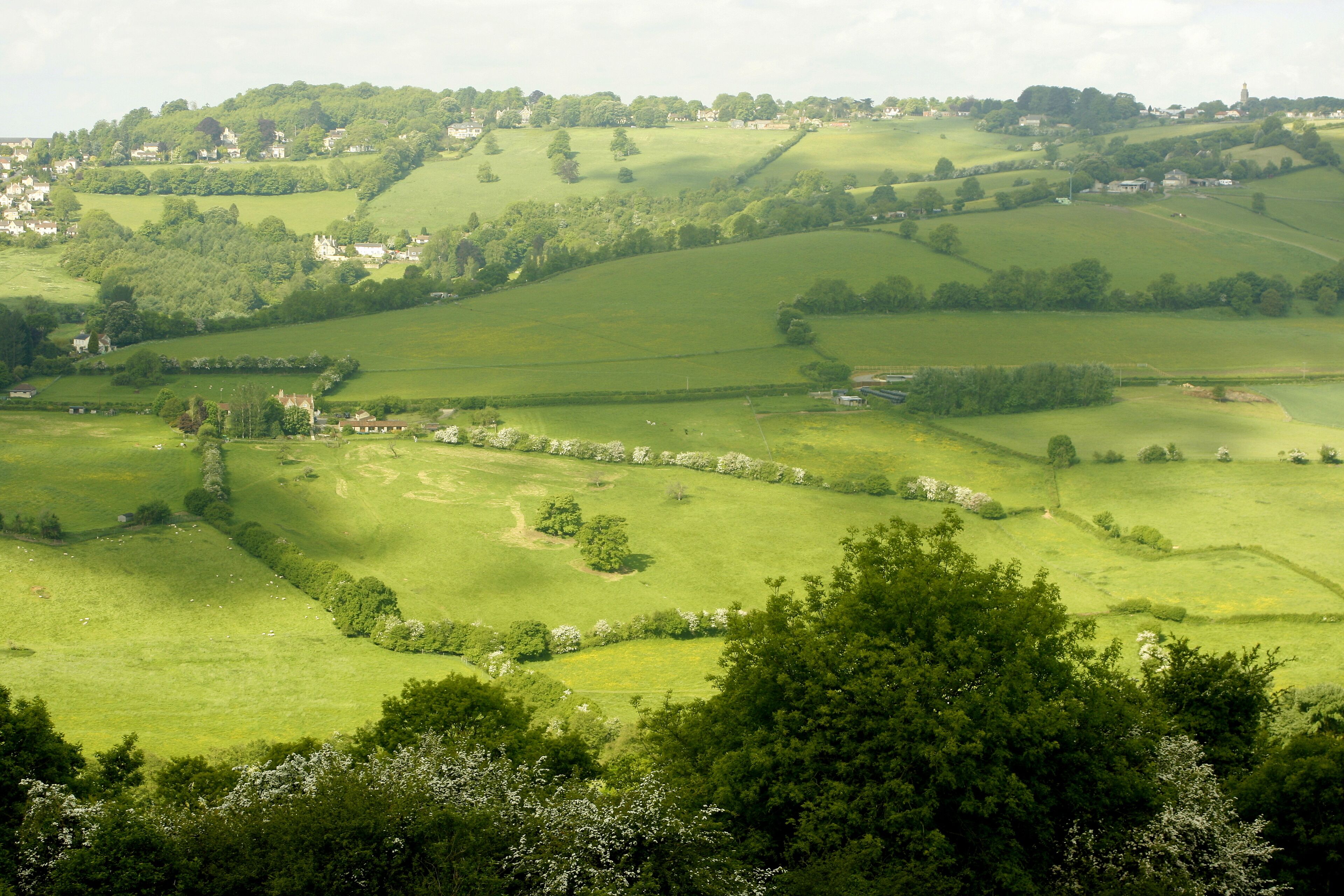 View west from Little Solsbury Hill Looking across the Swainswick Valley to the southern end of Lansdown Hill. Beckford's Tower ST7367 is on the skyline to the right. The foreground trees are on the western slopes of Little Solsbury.