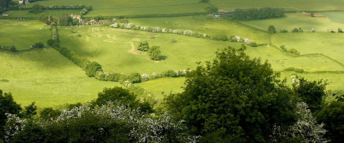 View west from Little Solsbury Hill Looking across the Swainswick Valley to the southern end of Lansdown Hill. Beckford's Tower ST7367 is on the skyline to the right. The foreground trees are on the western slopes of Little Solsbury.