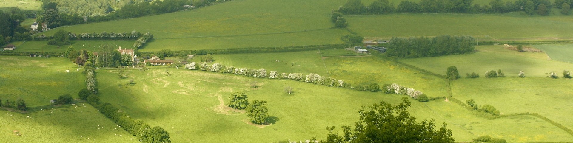 View west from Little Solsbury Hill Looking across the Swainswick Valley to the southern end of Lansdown Hill. Beckford's Tower ST7367 is on the skyline to the right. The foreground trees are on the western slopes of Little Solsbury.