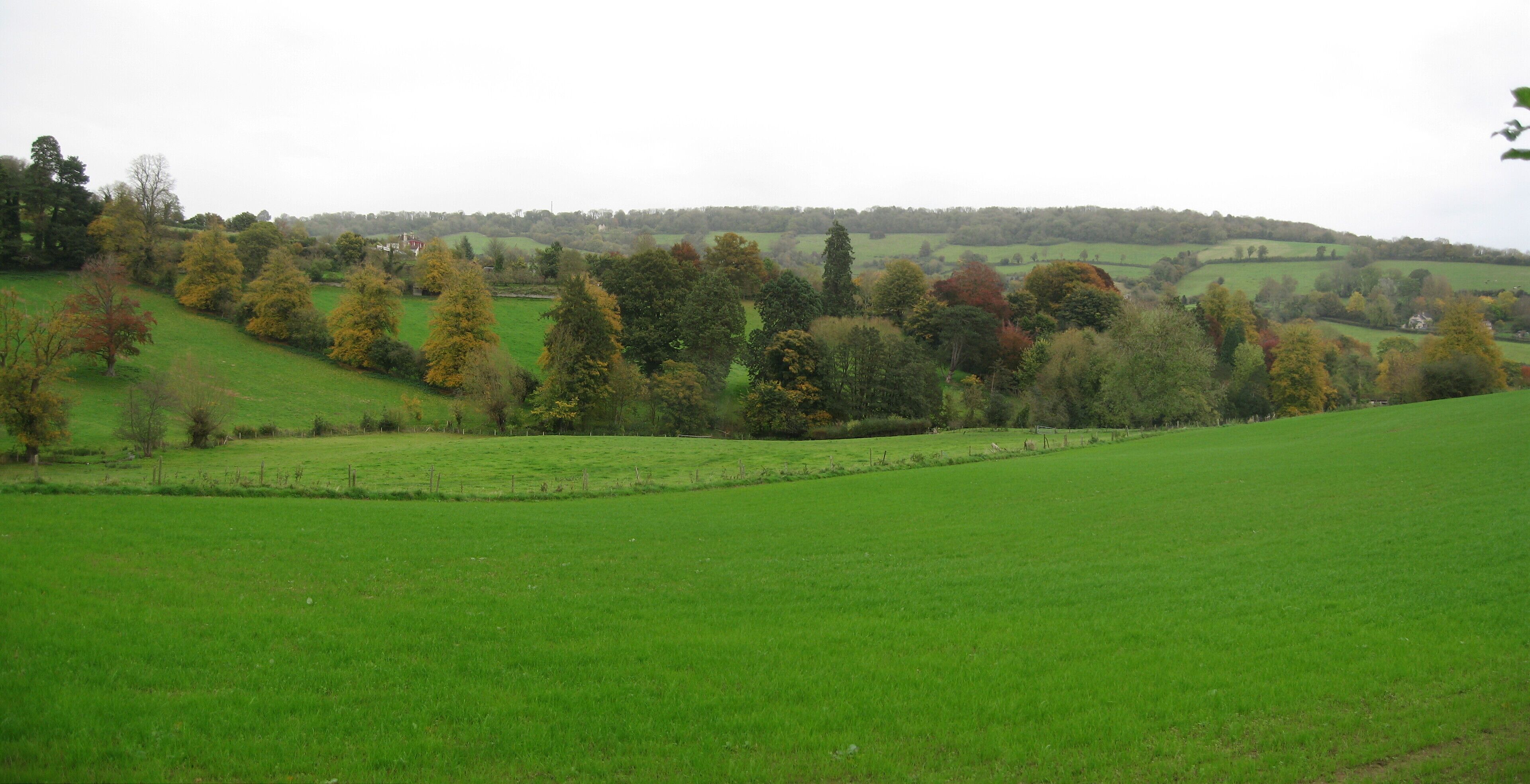 A green field with trees and rolling hills in the background.