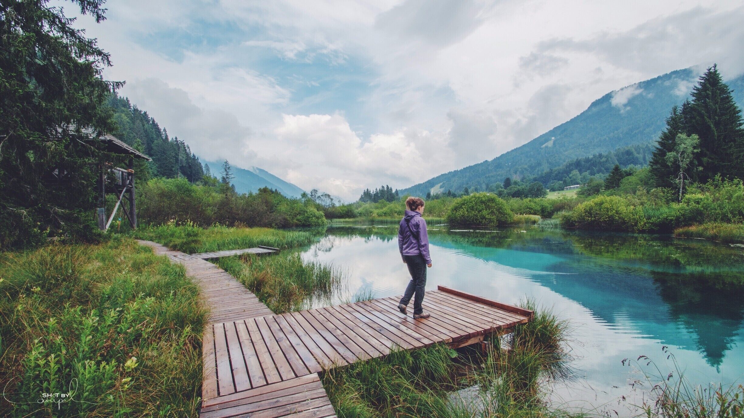 Wander around in the beautiful green scenery of the Zelenci Naturepark. Peaceful place in the Julian Alps close to Italia and Austria.

Feel free to check out my page:
https://www.facebook.com/ShotByCanipel

#troveon #naturepark #green #slovenia #places #nature #alps #wanderlust