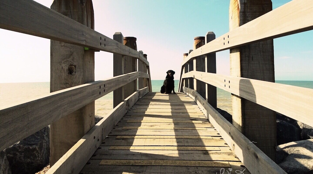 Camber Long Beach nearby Coastguards Lookout