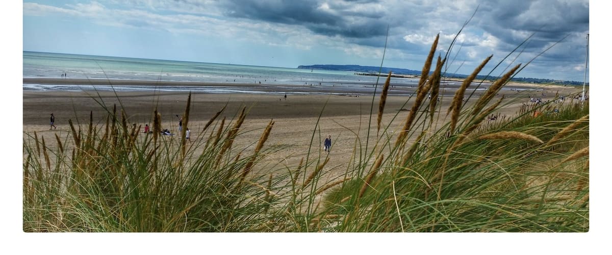 Une plage où l’on voit des gens se promener et jouer, des dunes herbeuses au premier plan et un ciel nuageux.