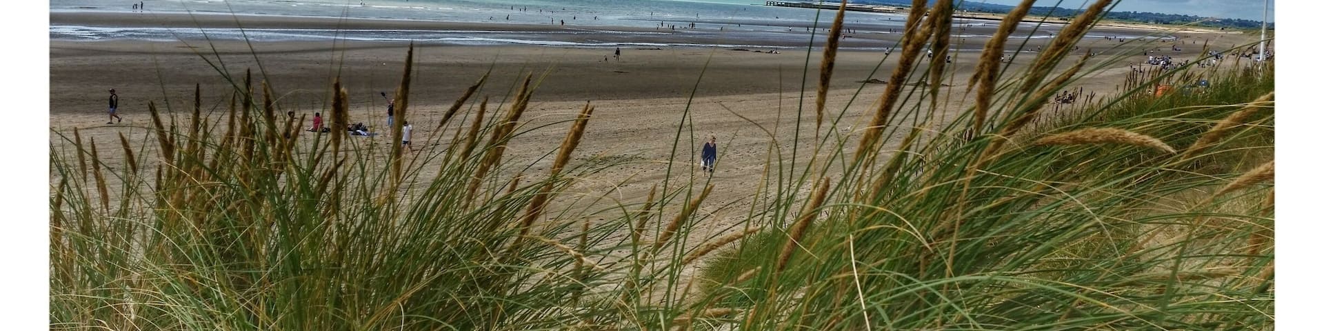 A beach with people walking and playing, grassy dunes in the foreground, and a cloudy sky.