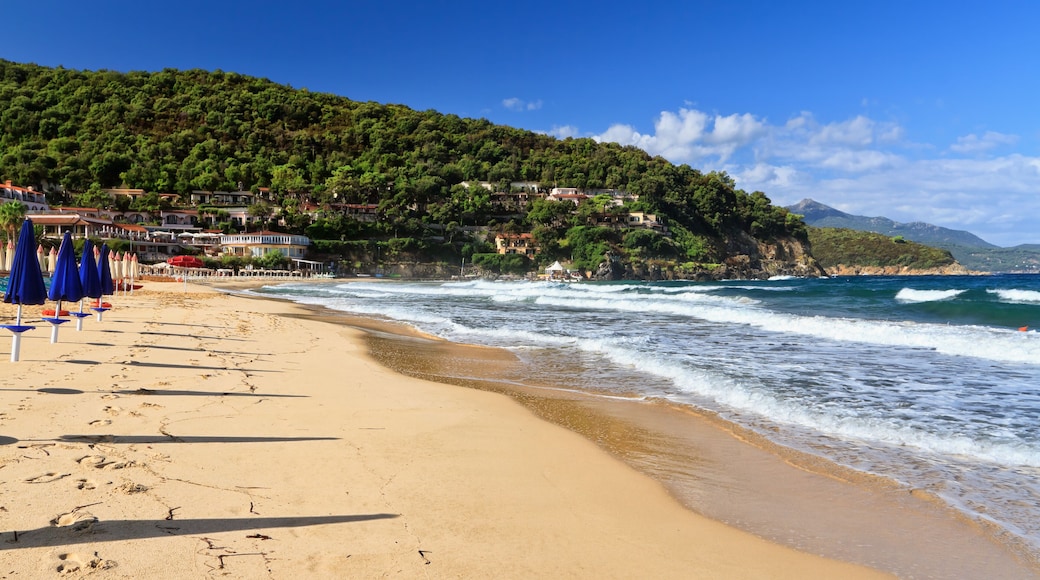 Elba Island - La Biodola beach