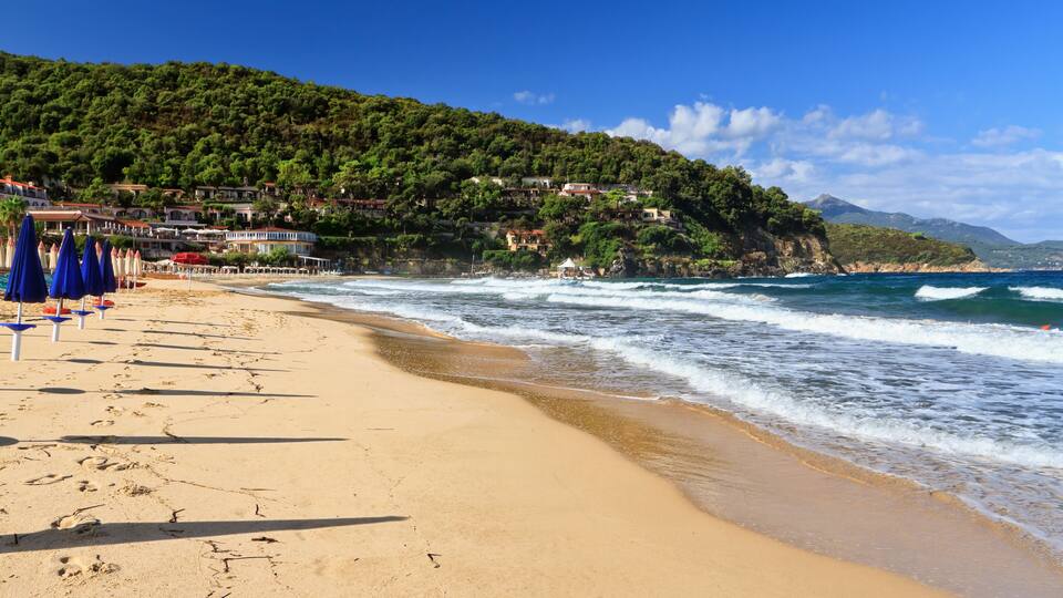 A sandy beach with waves, a forested hillside, and buildings in the background.