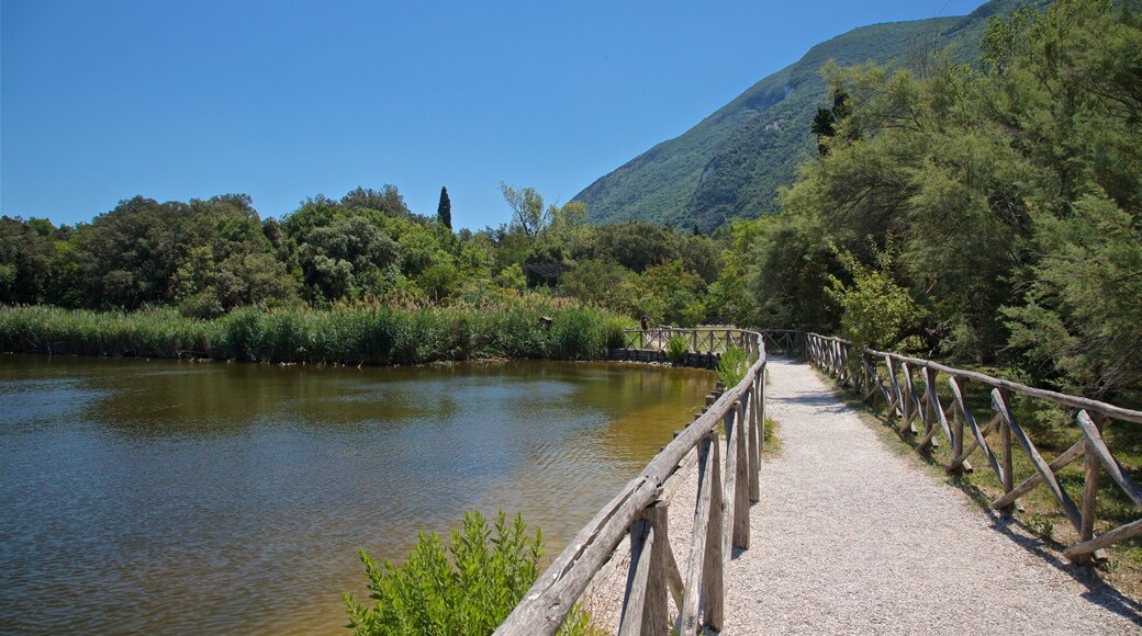Portonovo featuring a pond
