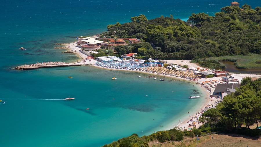 A coastal town with a beach, boats, and a forested hill.