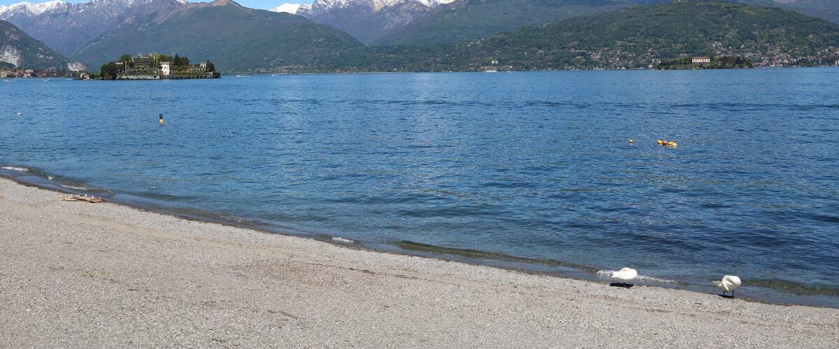 A lake with mountains in the background and a small island with buildings.