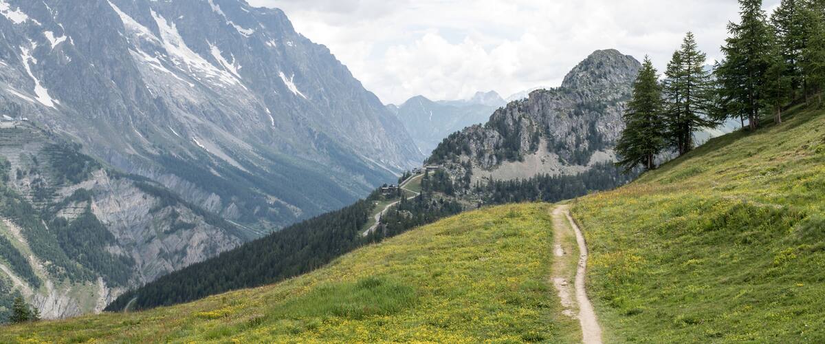 A mountain trail with snow-capped peaks, a valley, and a forested area.