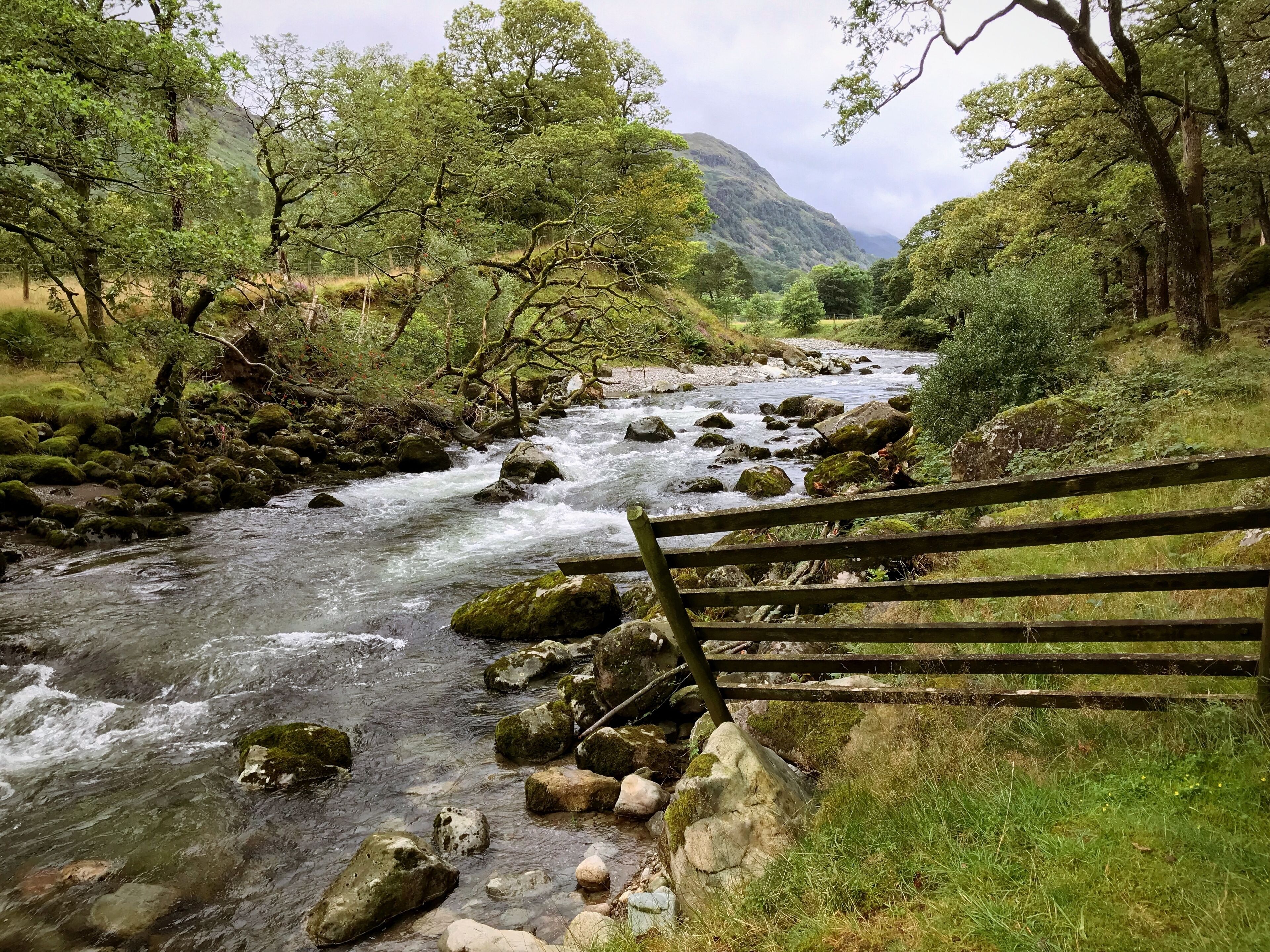 River Derwent at Longthwaite. 