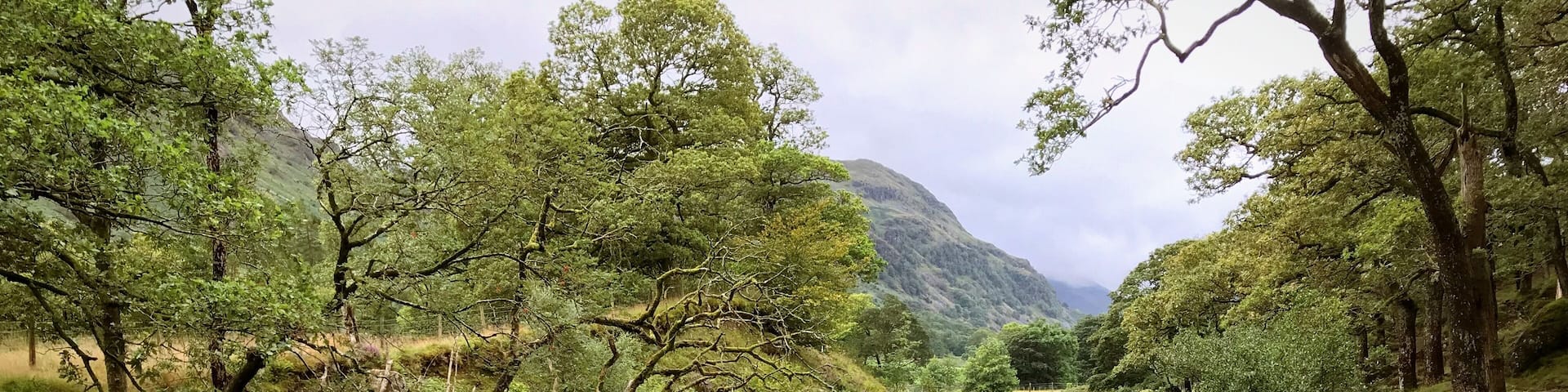 River Derwent at Longthwaite.