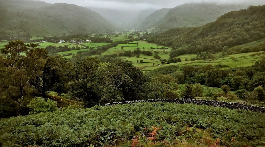 Borrowdale valley.