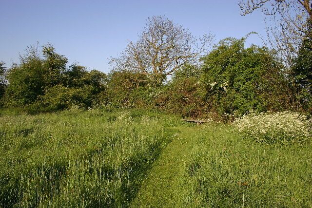 Girton nature reserve. A conservation area belonging to the village.