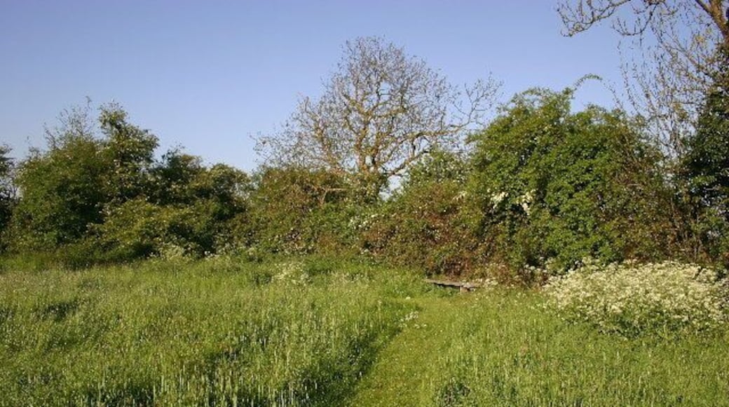 Girton nature reserve. A conservation area belonging to the village.