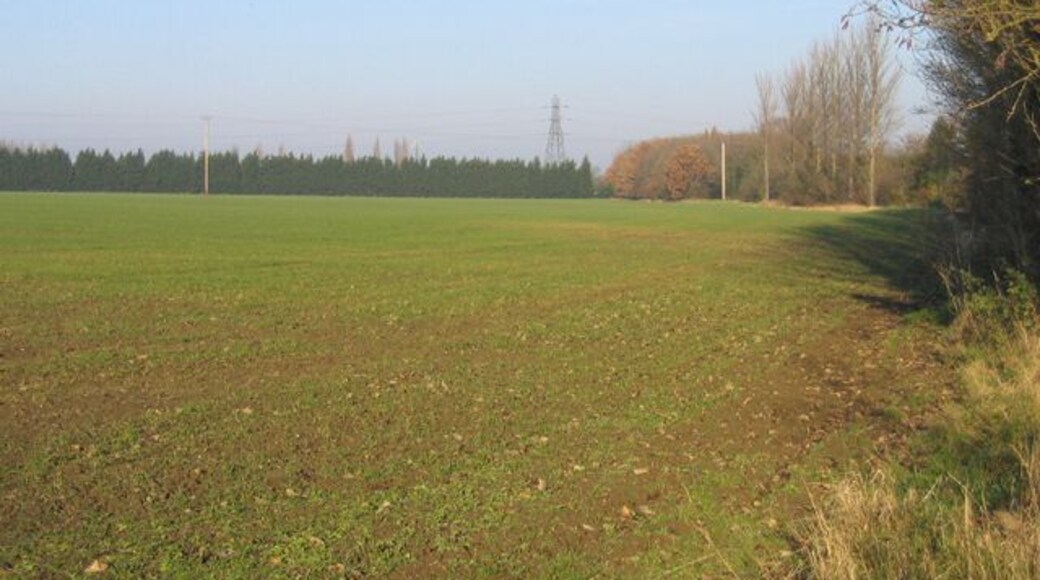 Farmland west of Girton, Cambs. view N of a wheat field beside the Washpit Brook.