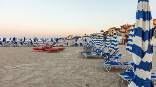 A beach with rows of blue and white striped beach umbrellas and lounge chairs.