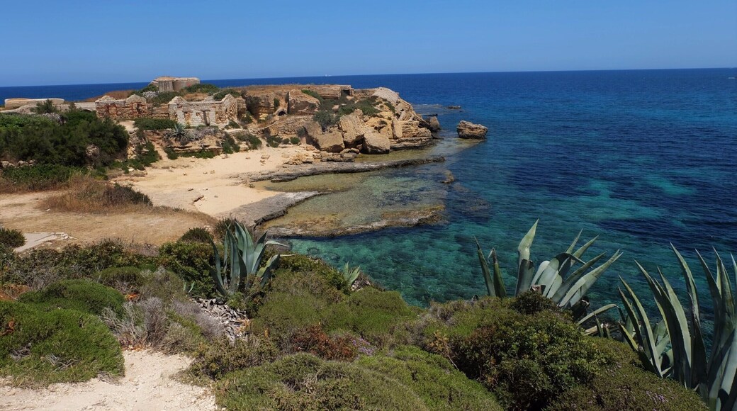 An incredible set of beaches not far away from Siracusa. Definitely worth to visit. It's not crowdy as well! (May) #beachbound