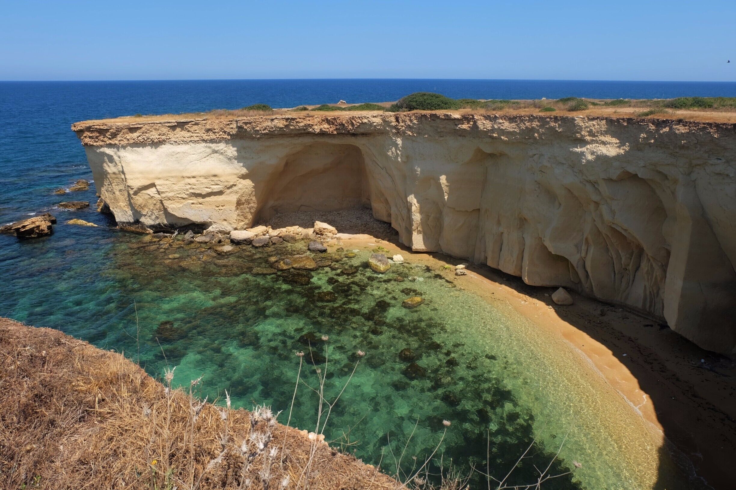 A coastal cliff with clear water revealing underwater vegetation.