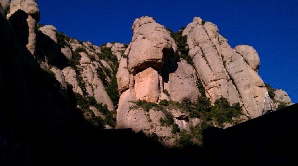 0_e9ced774-a0e8-42f8-a57c-05108cbfba6d_raw