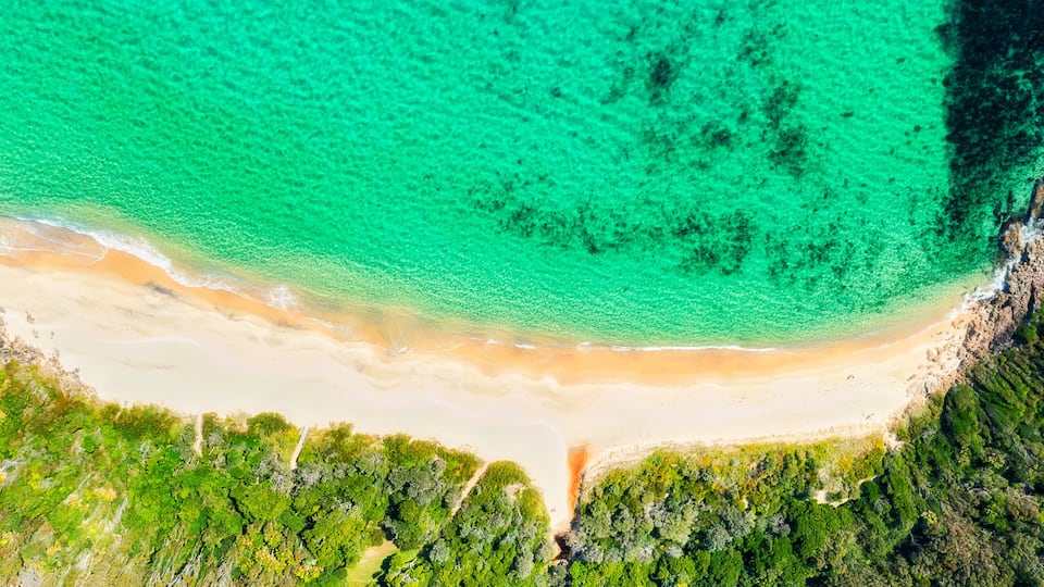 A turquoise beach with white sand, surrounded by dense green vegetation.