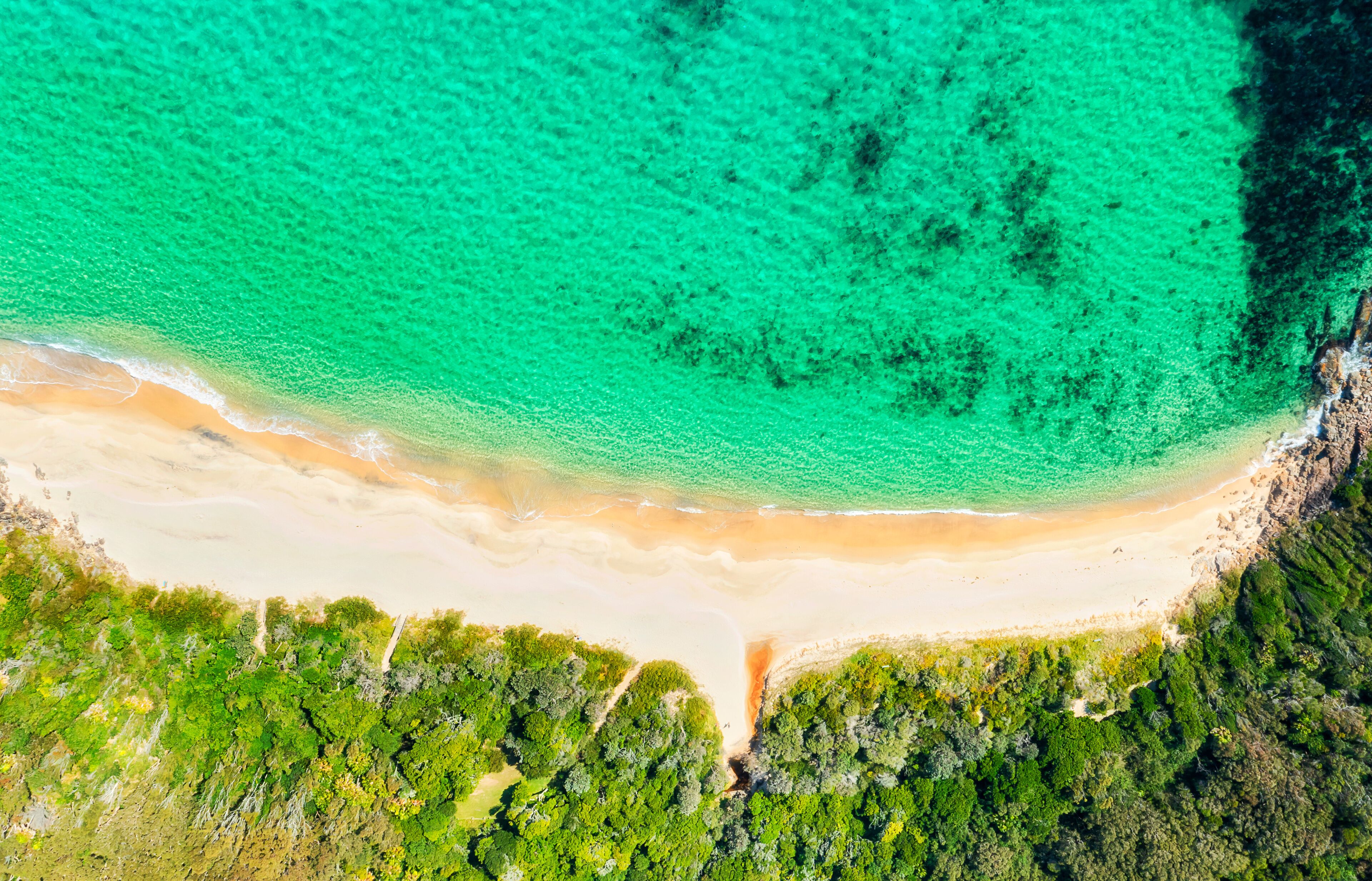 A turquoise beach with white sand, surrounded by dense green vegetation.