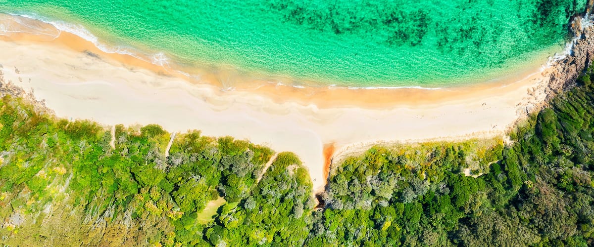 A turquoise beach with white sand, surrounded by dense green vegetation.