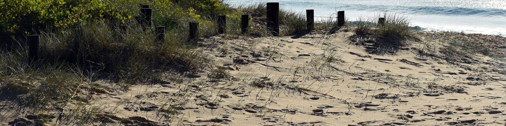 Australian Coastline, Blackhead Beach, bright morning landscape