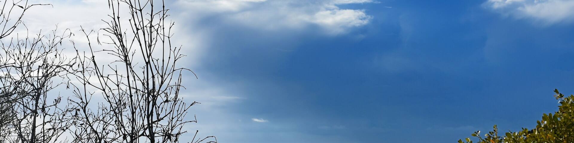 Australian Coastline Blackhead Beach, waves and storm through trees