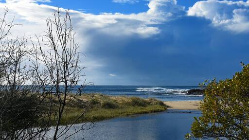 Australian Coastline Blackhead Beach, waves and storm through trees