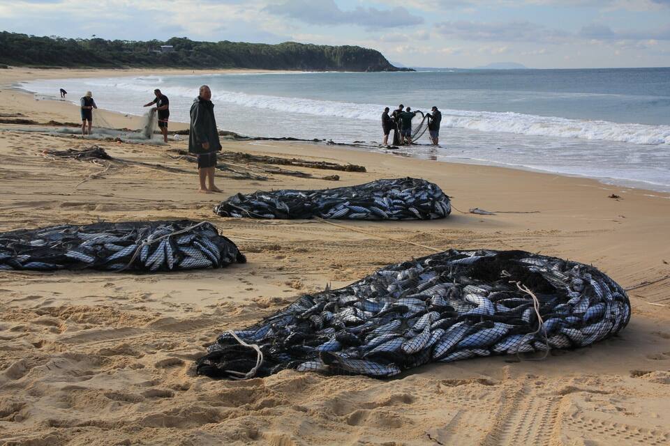 Une plage avec des filets de pêche et des personnes sur le rivage.
