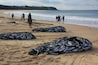 Fishermen catching mullet at Black Head Beach, Mid North Coast, NSW