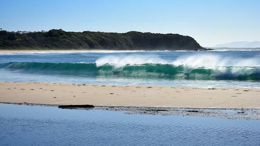 Australian Coastline Blackhead Beach with lagoon foreground
