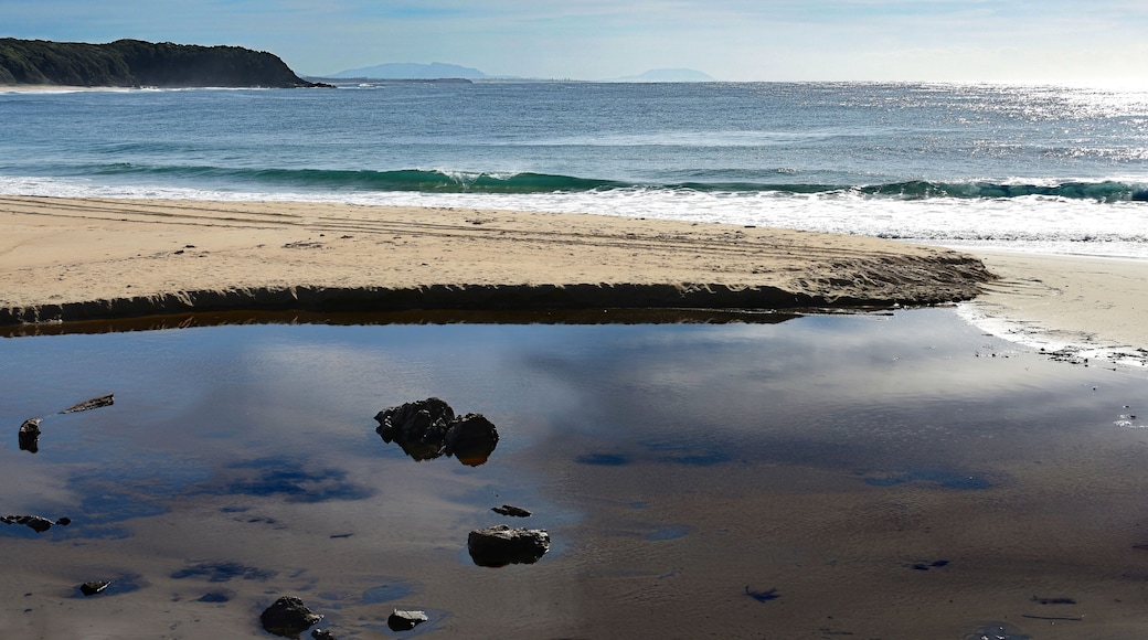 Australian Coastline Blackhead Beach with Lagoon foreground