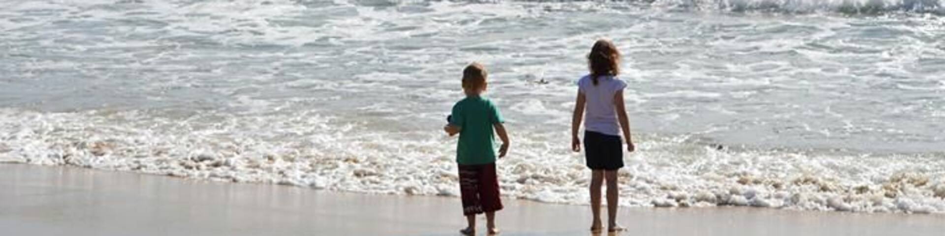 Blackhead Beach at Hallidays Point.
Slightly off the tourist track is this nestled piece of paradise. Pristine sandy beach which is easy to walk along, collect shells, walk to the volcanic rock formations which jut out to the left, and the sandstone rocks. Head right and you will discover rock pools with oceans living creatures waiting till the next high tide. See if you can spot an octopus or a Port Douglas Shark even star fish. 2 ocean pools which are cleaned regularly caters for Adults and children. A great surf beach.
