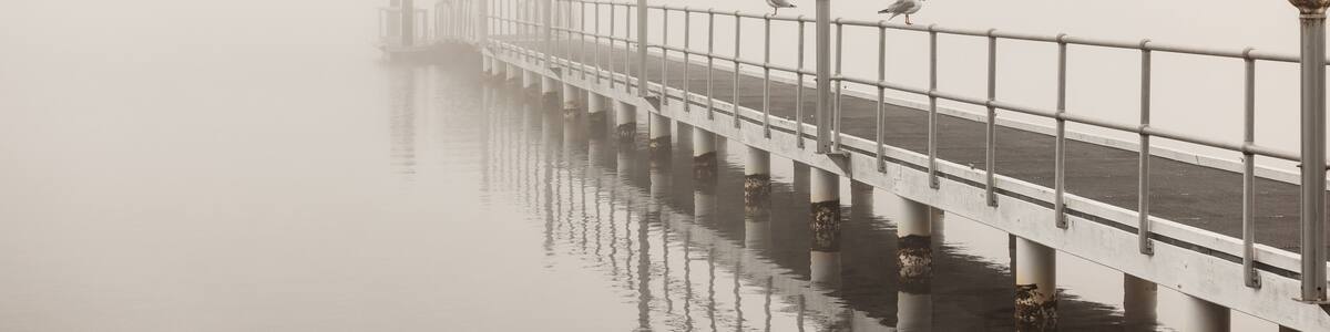 Seagulls perched along jetty on foggy winter morning at Lake Macquarie