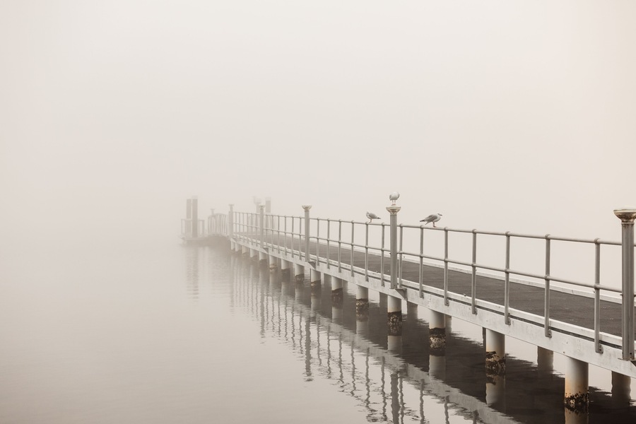 Seagulls perched along jetty on foggy winter morning at Lake Macquarie