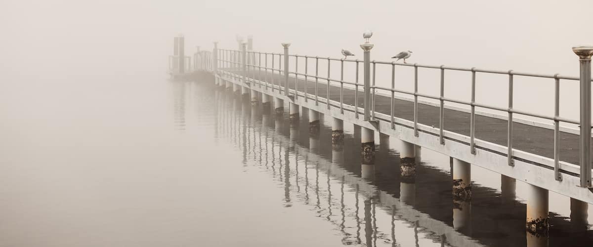 A foggy pier with a railing and a bird perched on it.