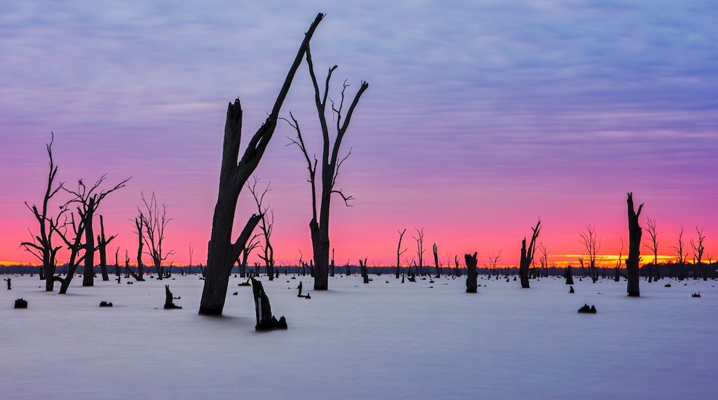 I have just spent a week in Sun Country on the Murray and what a place! Lake Mulwala was a particular highlight but other recommendations include:
Stay: Tokemata Retreat
Eat: Cafe 3641
Visit: Cactus Country
Relax: Dufties Beach One