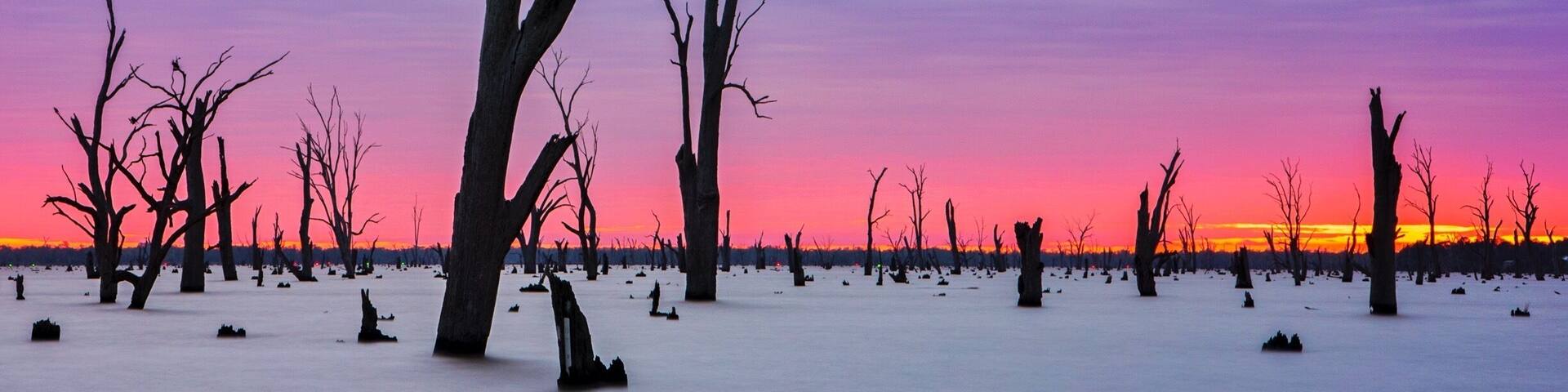 I have just spent a week in Sun Country on the Murray and what a place! Lake Mulwala was a particular highlight but other recommendations include:
Stay: Tokemata Retreat
Eat: Cafe 3641
Visit: Cactus Country
Relax: Dufties Beach One