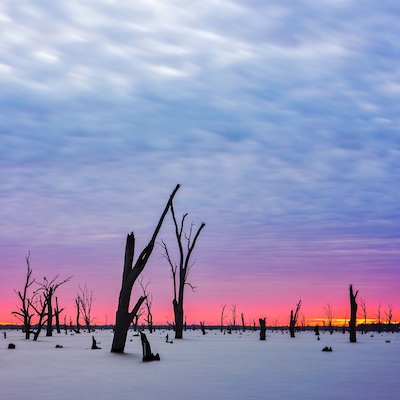 I have just spent a week in Sun Country on the Murray and what a place! Lake Mulwala was a particular highlight but other recommendations include:
Stay: Tokemata Retreat
Eat: Cafe 3641
Visit: Cactus Country
Relax: Dufties Beach One
