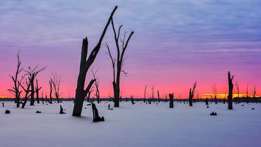I have just spent a week in Sun Country on the Murray and what a place! Lake Mulwala was a particular highlight but other recommendations include:
Stay: Tokemata Retreat
Eat: Cafe 3641
Visit: Cactus Country
Relax: Dufties Beach One