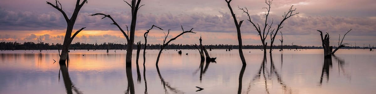 Un lac paisible, avec plusieurs arbres morts qui se reflètent dans l’eau calme, sous un ciel nuageux.