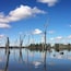 Lake Mulwala