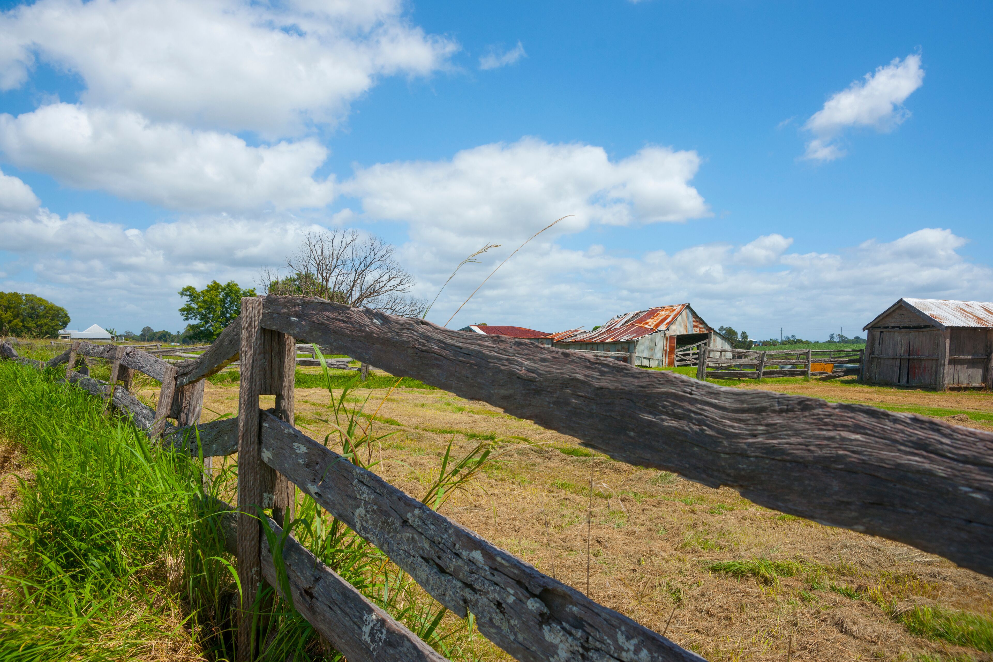A rural landscape with a wooden fence, a barn, and a red-roofed building.