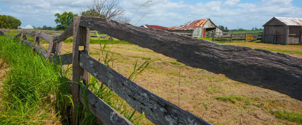 A rural landscape with a wooden fence, a barn, and a red-roofed building.
