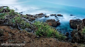 Emerald Beach has a middle bay the locals call Serenity ... It was very serene on Sunday evening. Apart from a couple of Roos I had the entire beach to myself for the last hour of light. #visitnsw #seeaustralia #seascapes